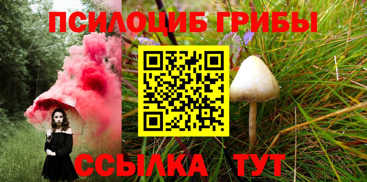 Галлюциногенные грибы мухоморы Приморско-Ахтарск